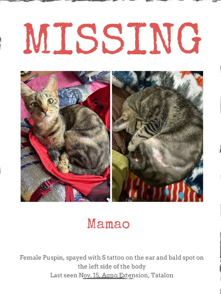 Photo of Mamao